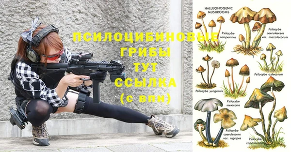 МДПВ Володарск